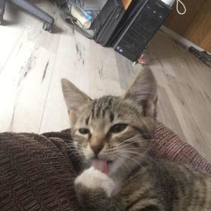 Meet your Posher, Julie